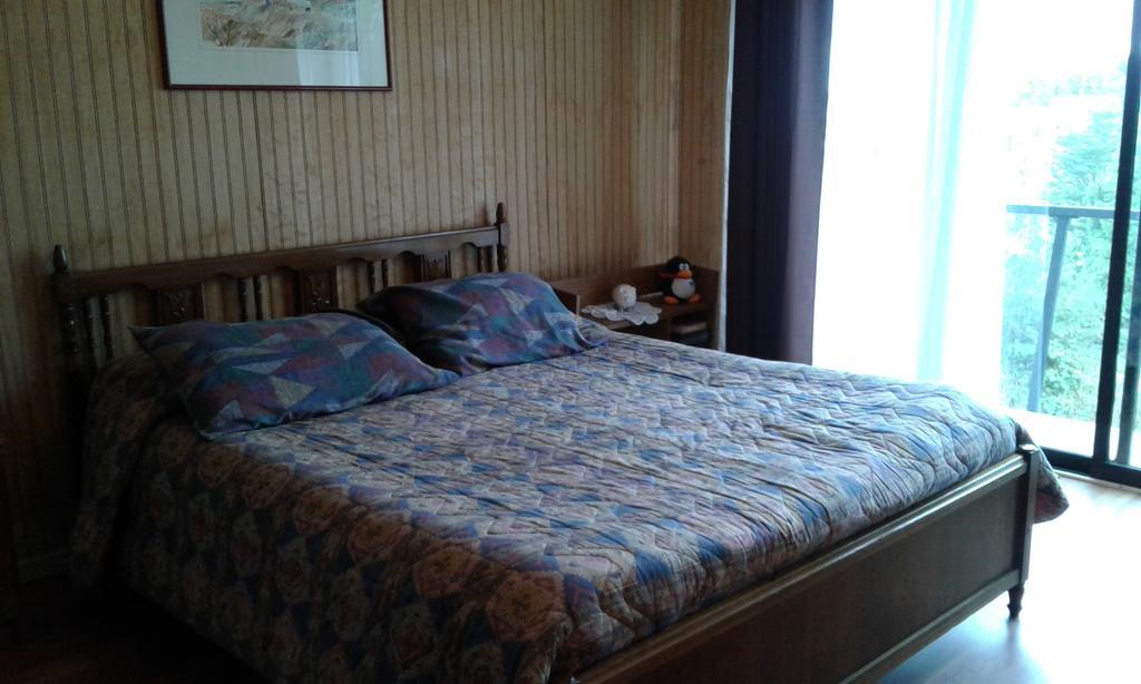 Patagonia Hostal Alojamiento Familiar Puerto Varas Rum bild